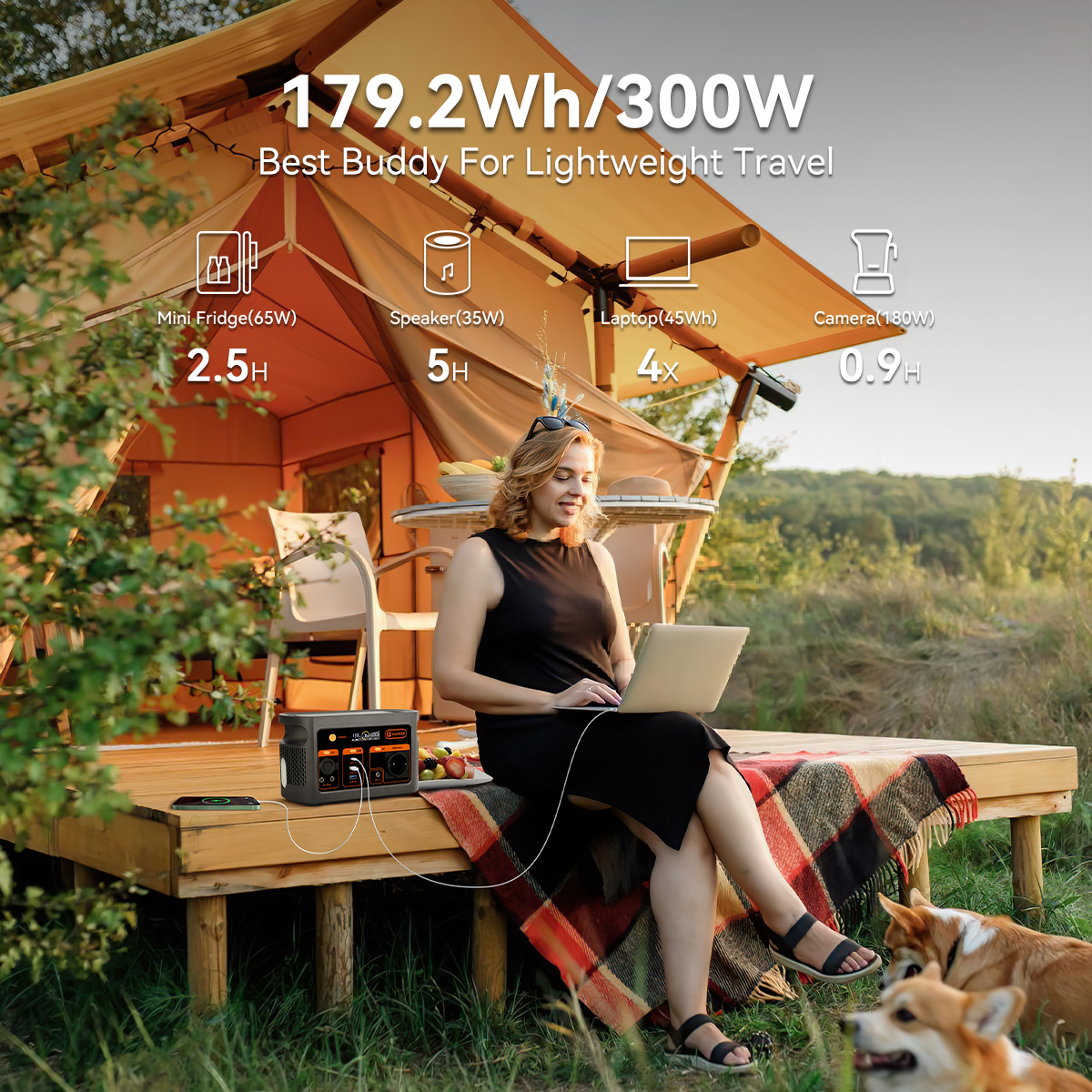 300W pure sine wave solar gene - Outdoor Power Station reseña y precio