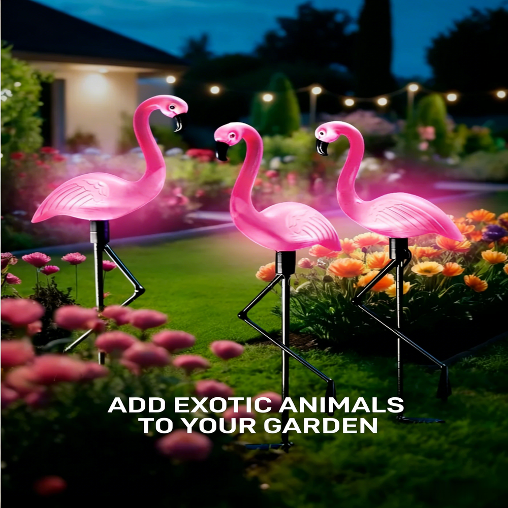 3Pcs Solar Powered Flamingo Gr - Outdoor Yard Power Stake reseña y precio
