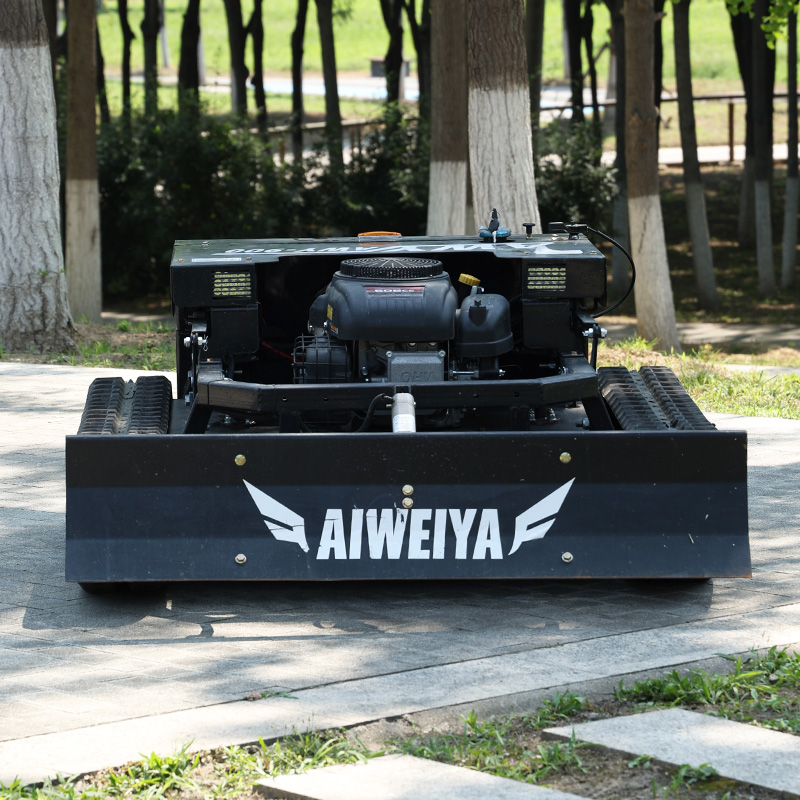 Customized High Power Remote L - Snow Blower Single reseña y precio