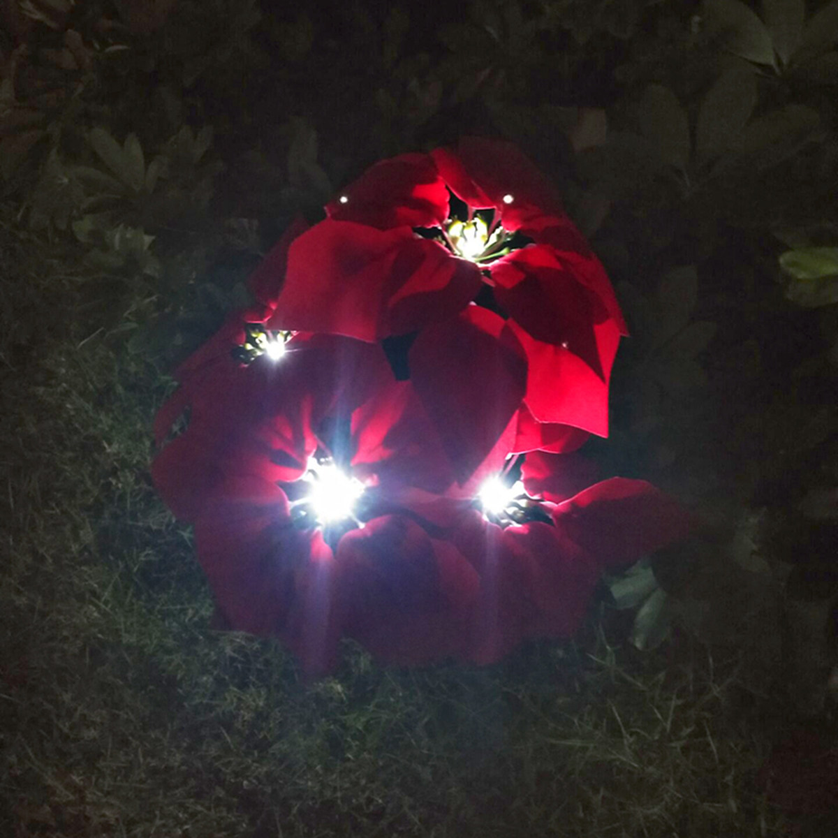 Solar Powered Fake Flower Ligh - Outdoor Yard Power Stake reseña y precio